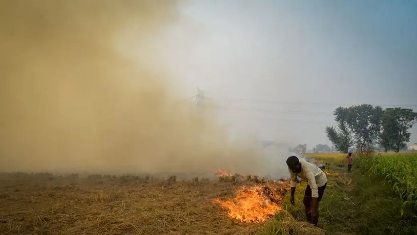 सुधर नहीं रही दिल्ली की हवा, AQI 335 यानी बहुत खराब, पंजाब की सफाई पराली जलाने की घटनाएं 30% कम