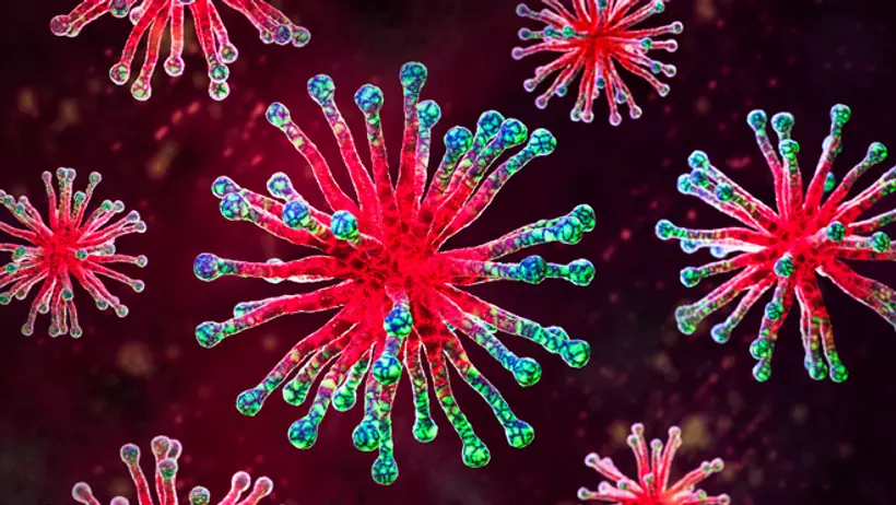 virus HMPV 
