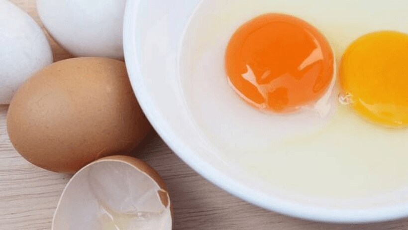 egg yolk