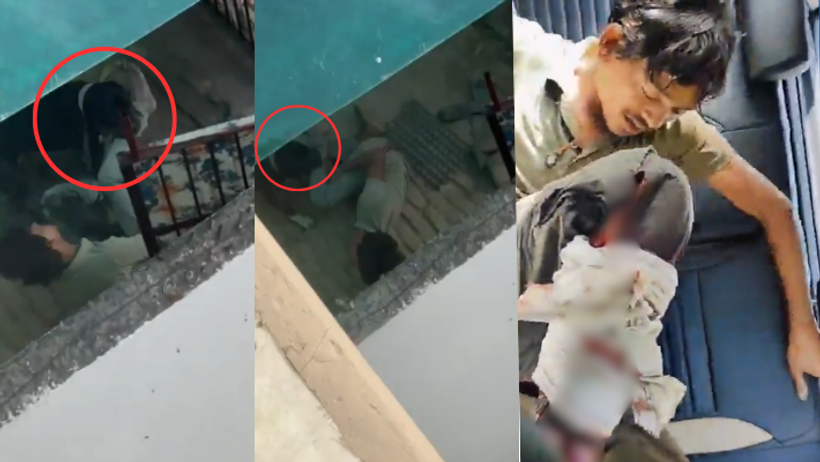 Noida pitbull attack shelter worker video viral dog attack 