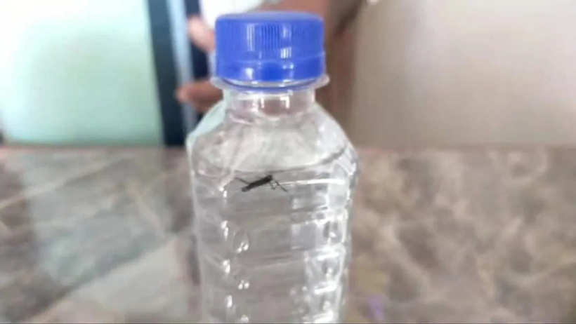 dead mosquito found in a sealed bottle of mineral water in jabalpur food department will take action