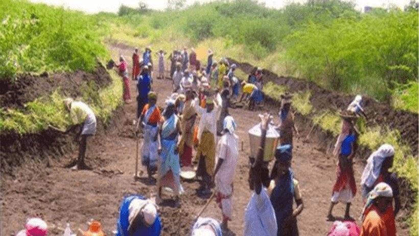 mgnrega 41935.PNG