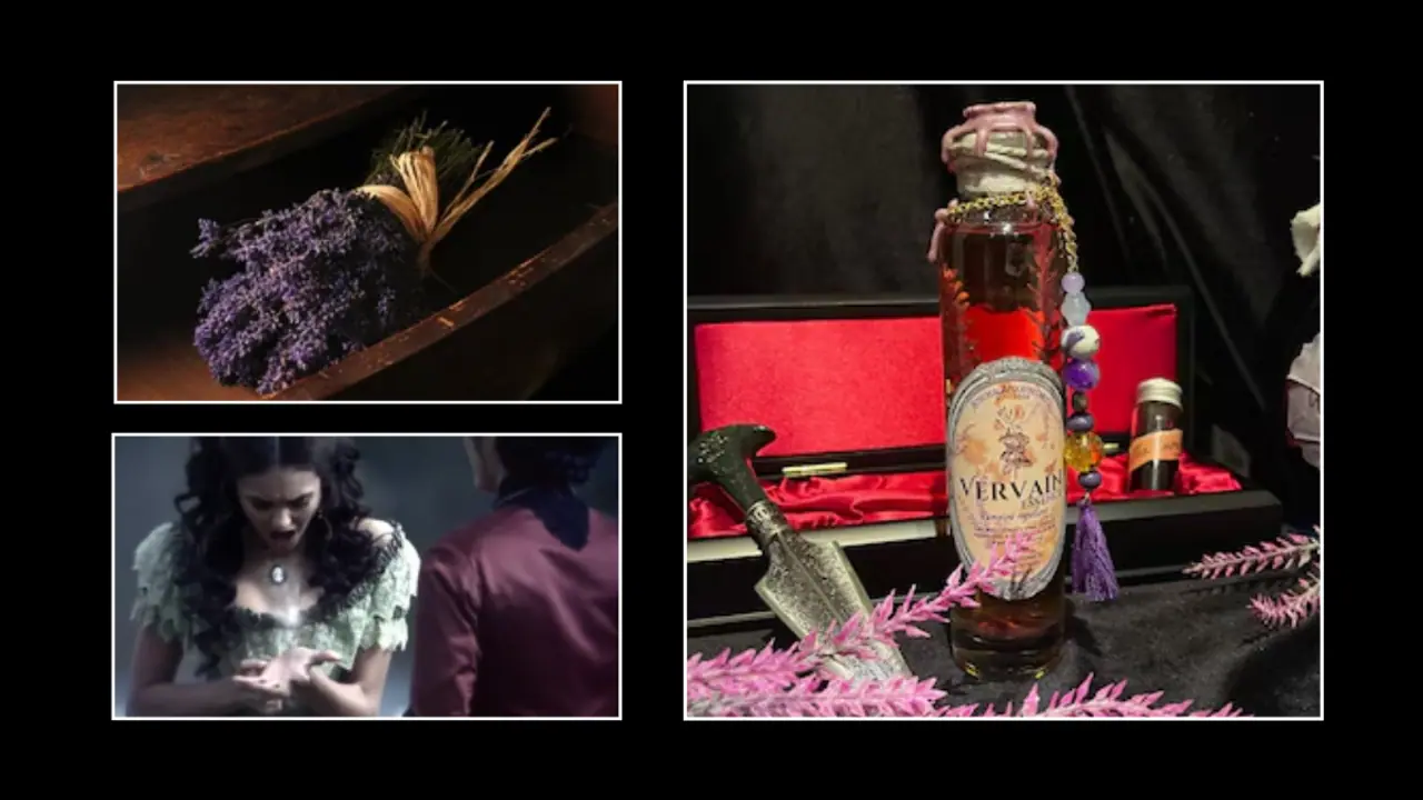 Vervain Rapper The Evolving Role of Vervain Throughout ‘The Vampire Diaries’ | Indigomusic