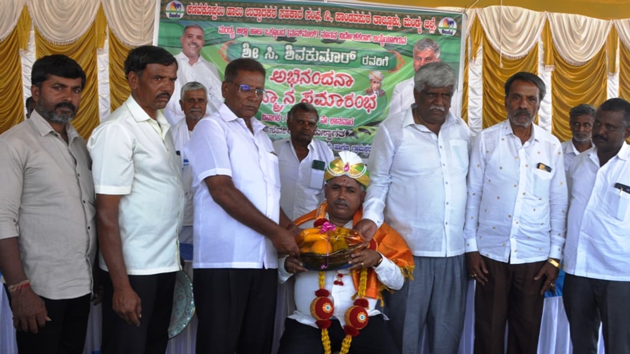 feed the cows cold food in summer: manmul director shivakumar | Feed ...