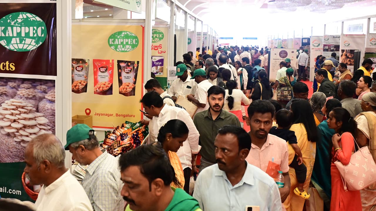 more than 40 stalls from kepec at the fair | More Than 40 Stalls From ...
