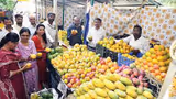17 ದಿನದಲ್ಲಿ 600 ಟನ್‌ ಮಾವು ಮಾರಾಟ