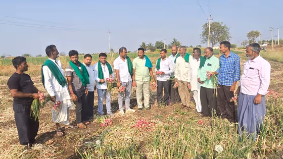 ಈರುಳ್ಳಿ ದರ ಕುಸಿತ : ರೈತನಿಗಾದ ದೊಡ್ಡ ಅನ್ಯಾಯ