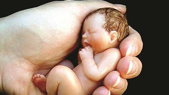 ಯಾದಗಿರಿ: 7 ತಿಂಗಳಲ್ಲಿ 30 ಹೆಣ್ಣು ಭ್ರೂಣ ಹತ್ಯೆ!